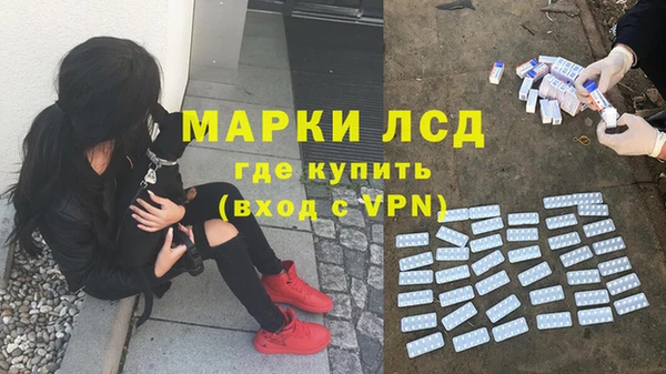 спайс Липки