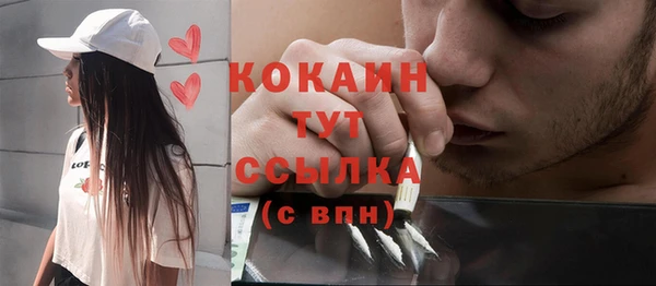 шишки Анжеро-Судженск