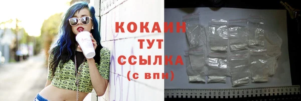 шишки Анжеро-Судженск