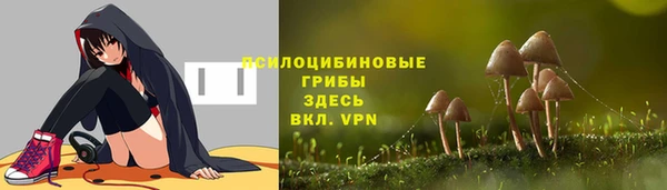 молекула духа Майский