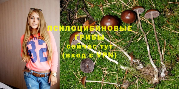 соль ск Лихославль