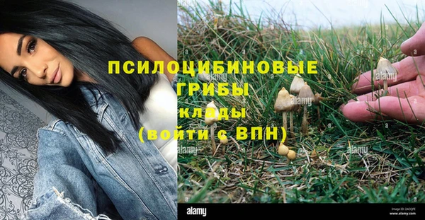 круглые Апатиты