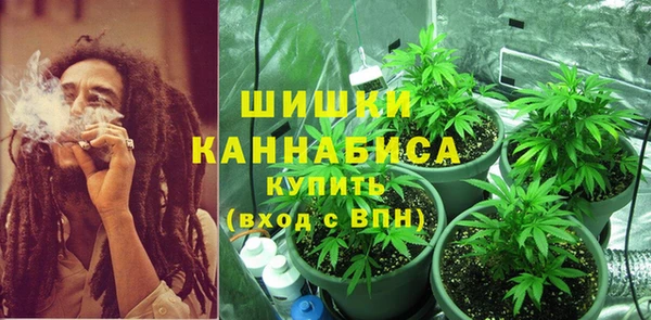 молекула духа Майский