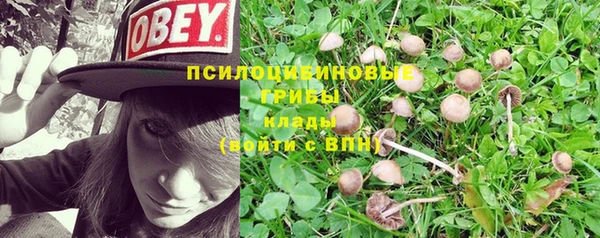 спайс Липки