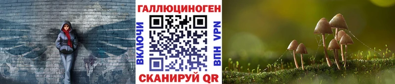 Псилоцибиновые грибы мухоморы  как найти   Фокино 